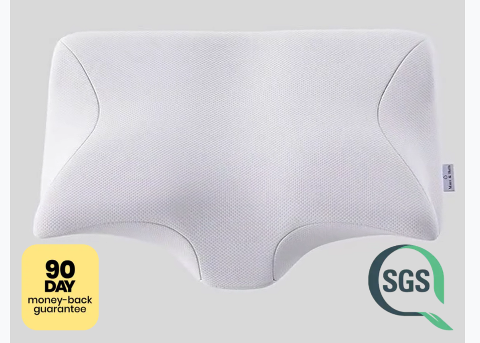 Ergo Z Pillow