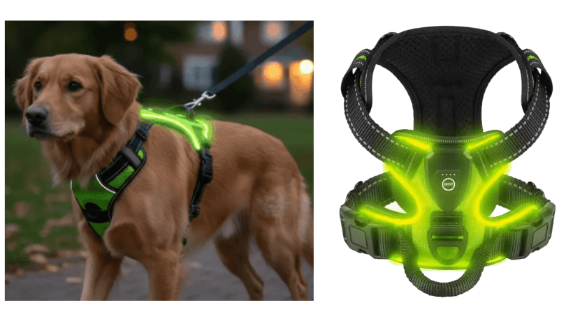 RadPaws LED Harness